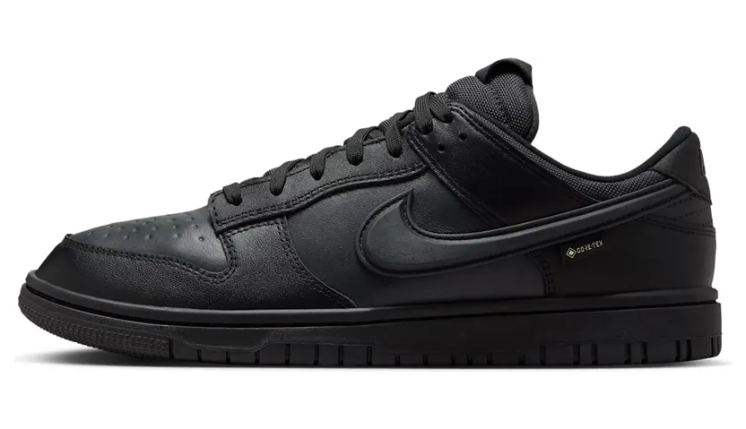 Nike Dunk Low HQ2053-001