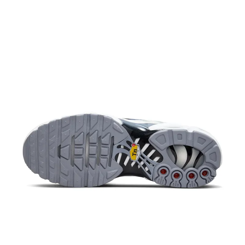 Nike Air Max Plus Smoke Grey Ashen Slate (FQ2892-100)