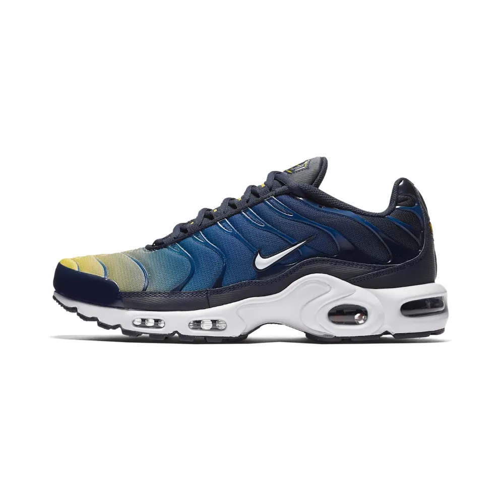 Nike Air Max Plus Gradient Pack (Obsidian)