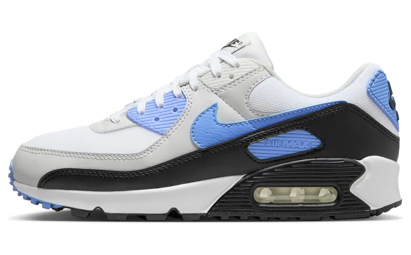 Nike Air Max 90 Royal Pulse (DH8010-106)