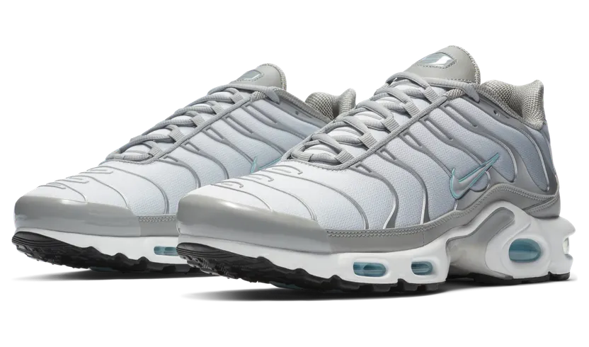 Nike Air Max Plus Grijs (CZ7552-002)