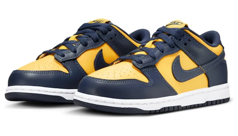 nike-dunk CW1588-700