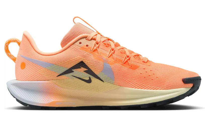 nike-air-pegasus DV3865-800