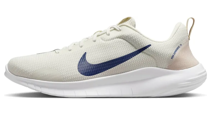 Nike Flex Experience DV0740-103