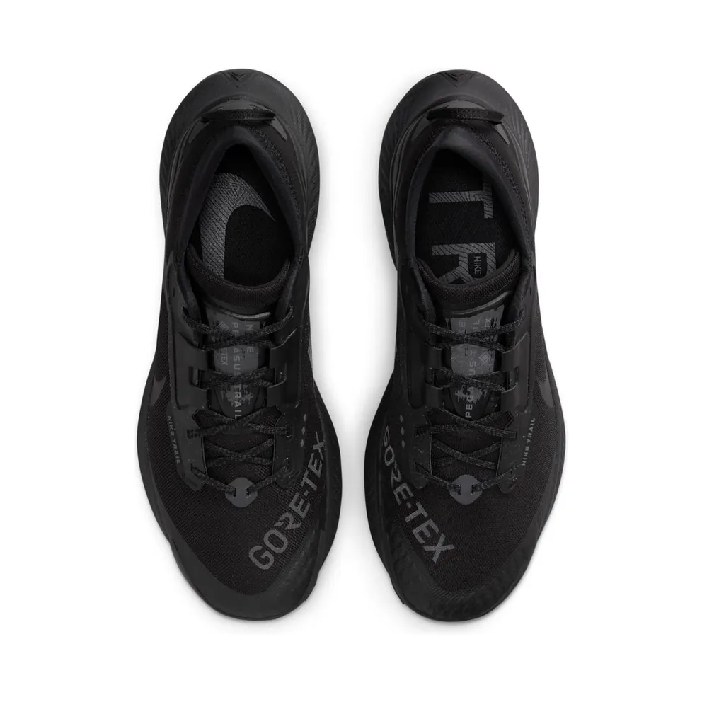 Nike Pegasus Trail 3 GORE-TEX Waterproof Trail Running Black (DC8793-001)