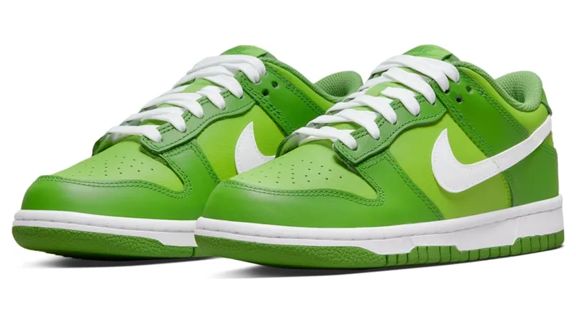 nike-dunk DH9765-301