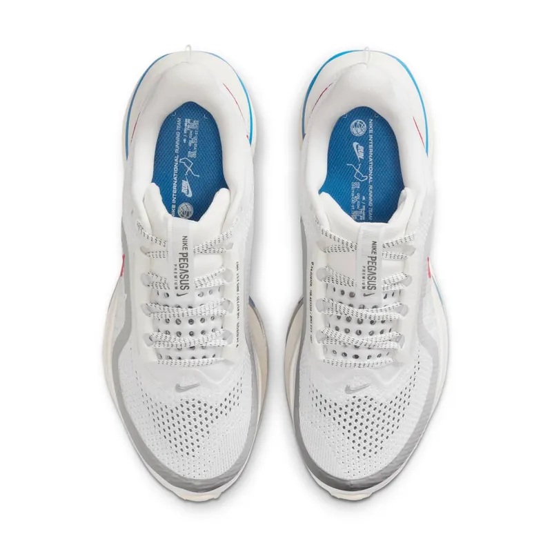 Nike Pegasus Premium “Forrest Gump” (IH7347-111)
