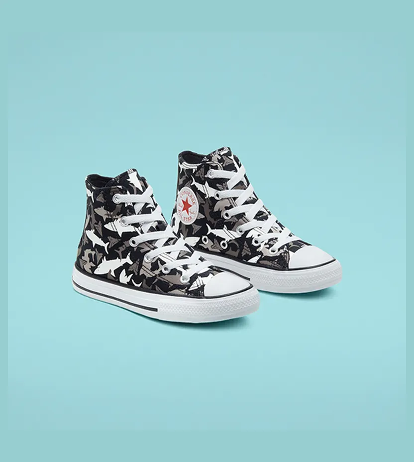 converse-chuck-taylor-all-star 666888C