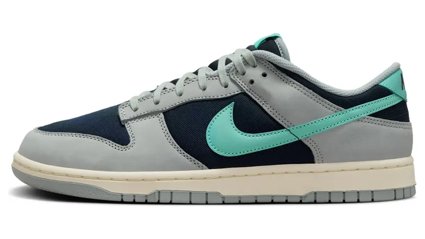 Nike Dunk Low FB8895-001