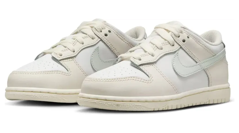 nike-dunk FB9108-109