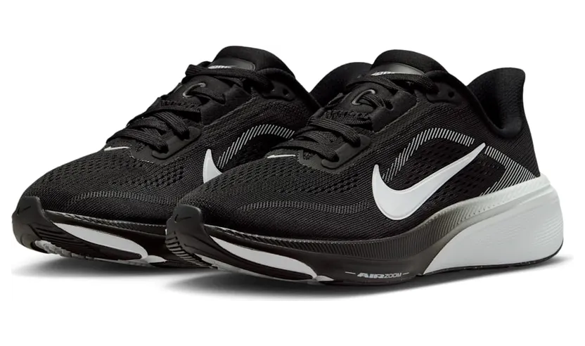 nike-air-pegasus IH2306-002