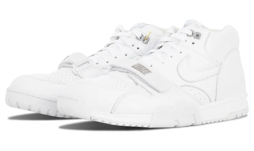 air-jordan-trainer-1 806942-110