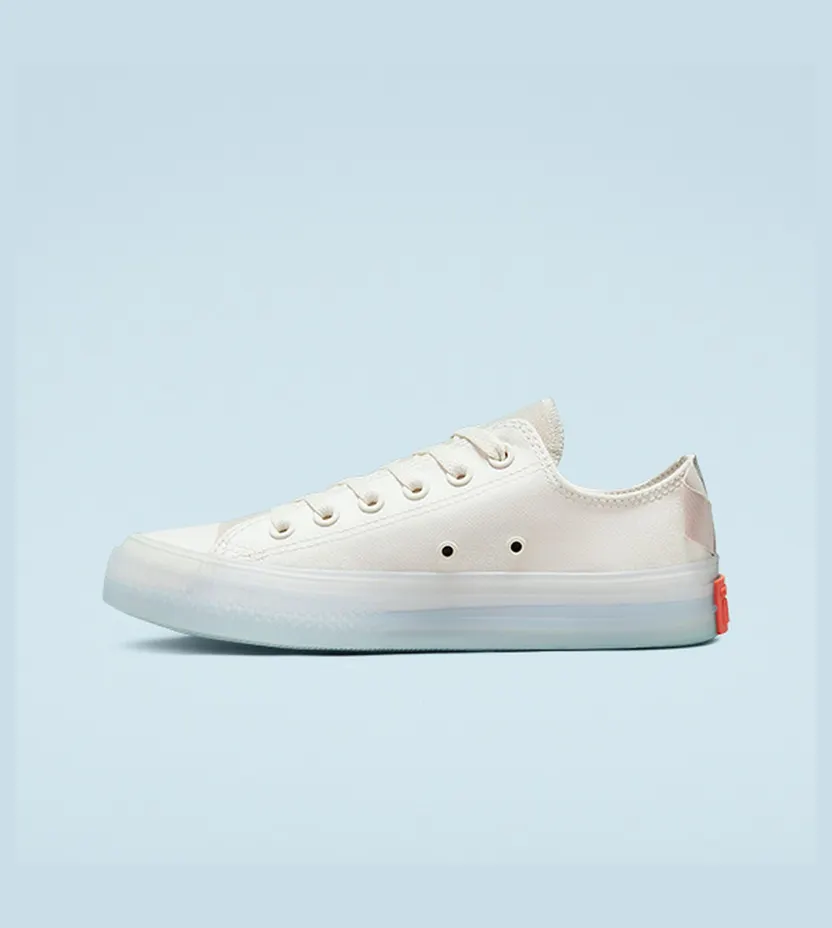 converse-chuck-taylor-all-star 172894C