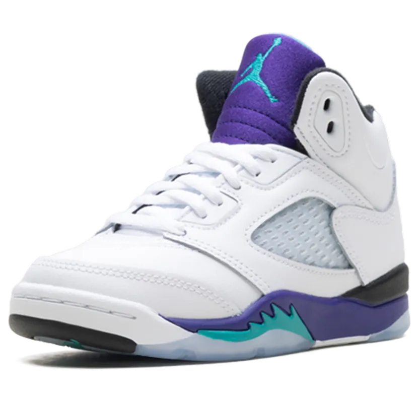 air-jordan-5 HQ7979-100