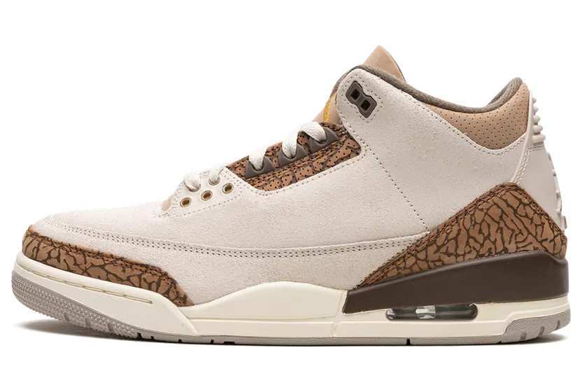 Air Jordan 3 “Palomino” (CT8532-102)