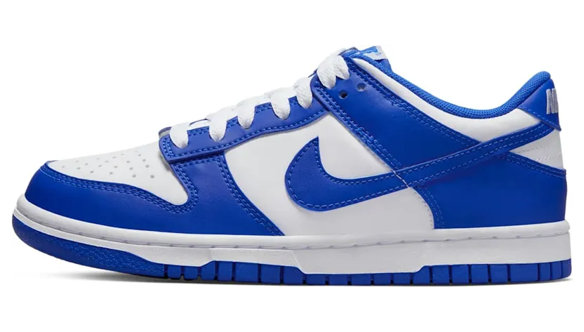 Nike Dunk Low DV7067-400