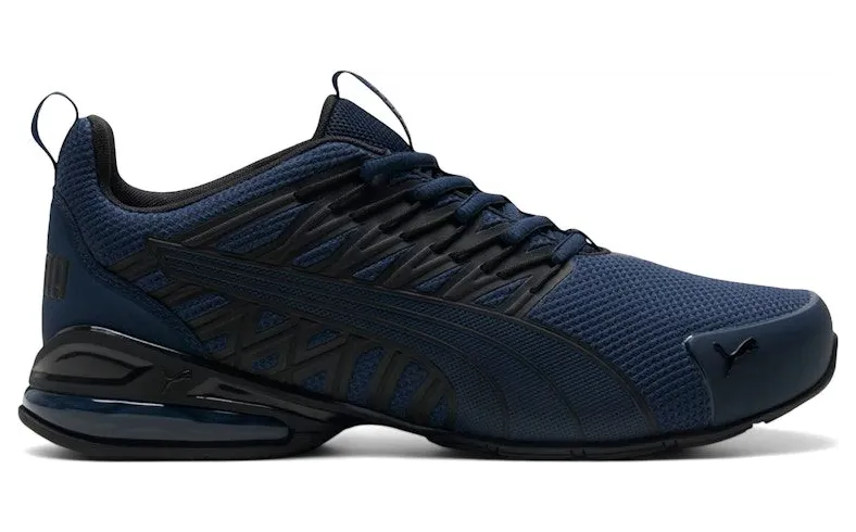 Puma Voltaic Evo 379601-29
