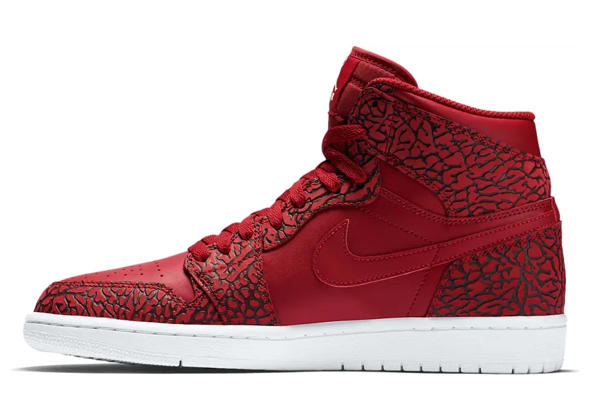 air-jordan-1 839115-600