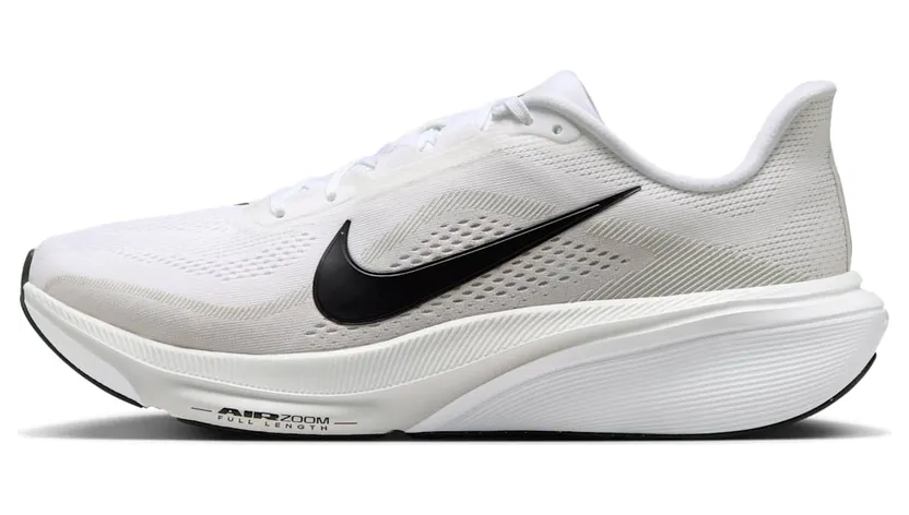 Nike Pegasus White/Photon Dust/Black (IB1873-101)