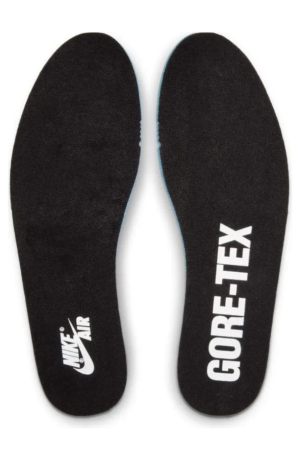 air-jordan-1 DB2889-100