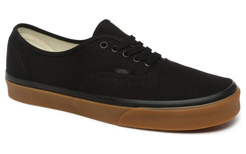 vans-authentic VN0A2Z5ID8E