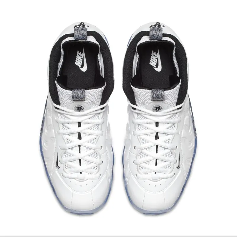 Nike Air Foamposite One White Ice (GS) White/Black (644791-102)