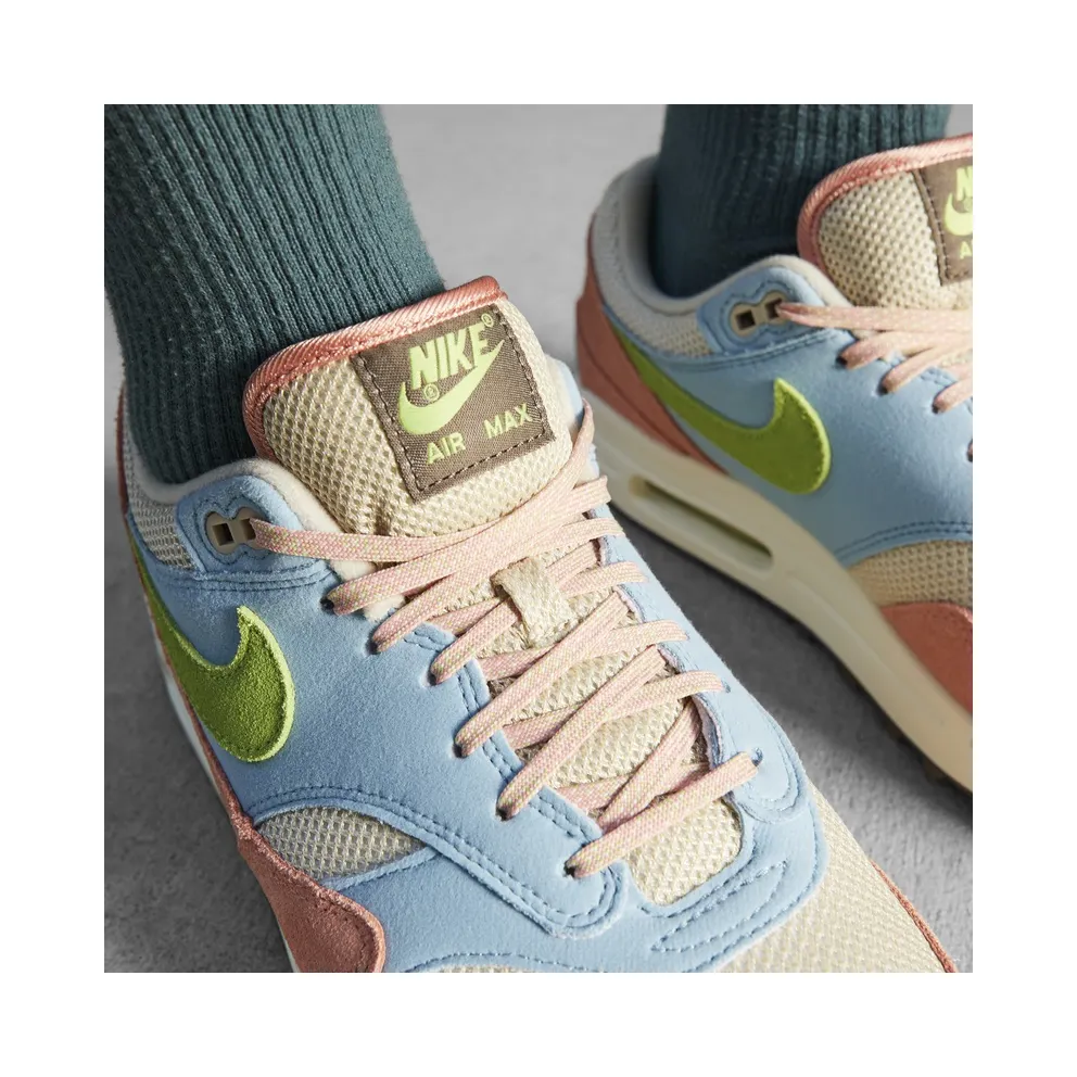 Nike Air Max 1 Light Madder Root Worn Blue (DV3196-800)