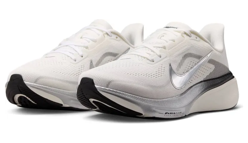 nike-air-pegasus IR0298-100