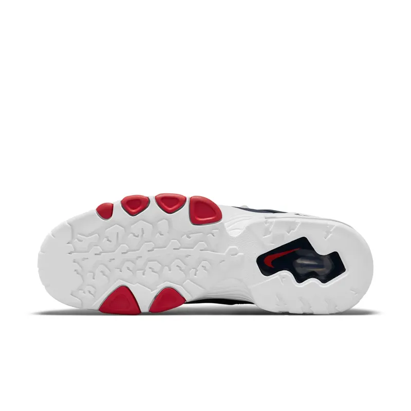 Nike Air Max CB 94 USA (2021) (DJ5160-400)