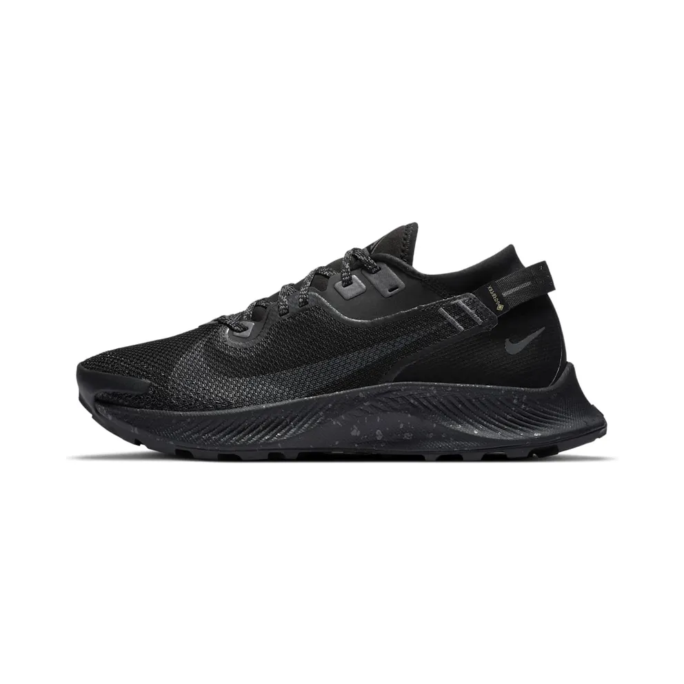 Nike Pegasus Trail 2 GORE-TEX Schwarz (CU2018-001)