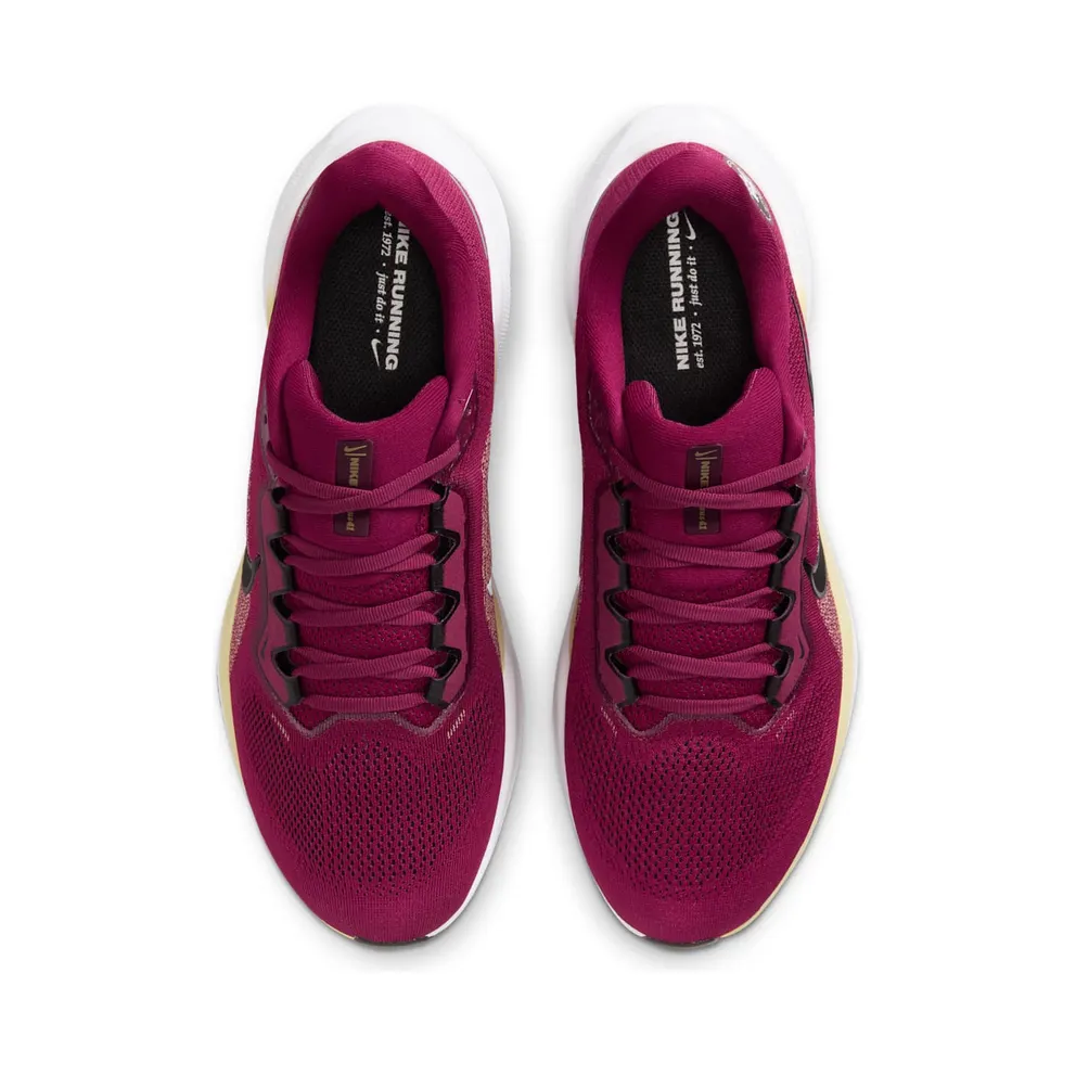 Nike Air Zoom Pegasus 41 Florida State Seminoles (IB3255-600)