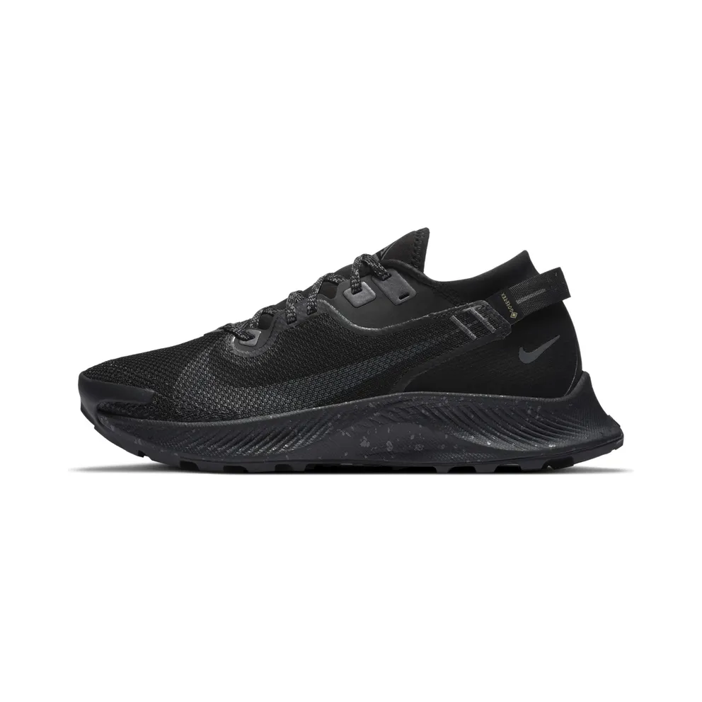 Nike Pegasus Trail 2 GORE-TEX Trail Running Black (CU2018-001)