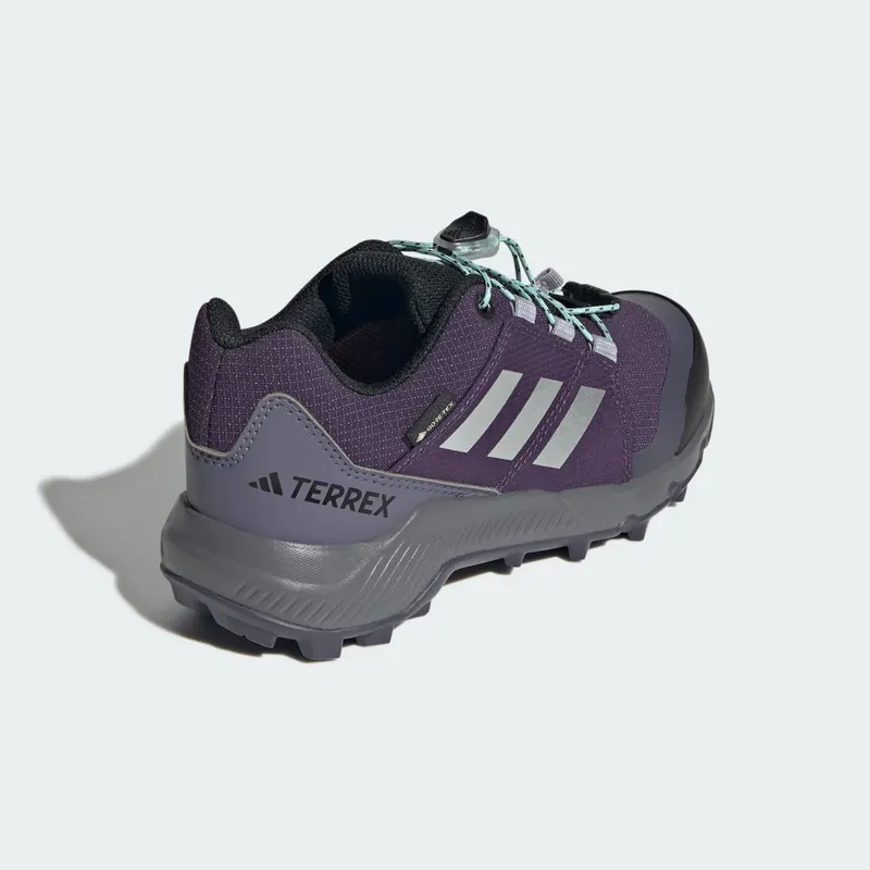 Adidas Terrex GORE-TEX Hiking Aurora Plum / Silver Metallic / Semi Flash Aqua (JS2930)