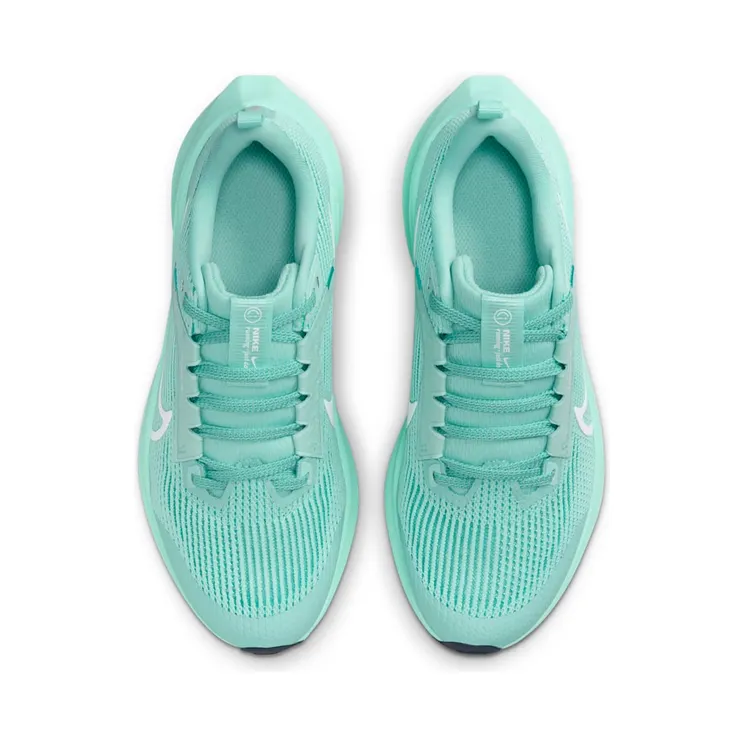 nike-air-pegasus DX2498-300
