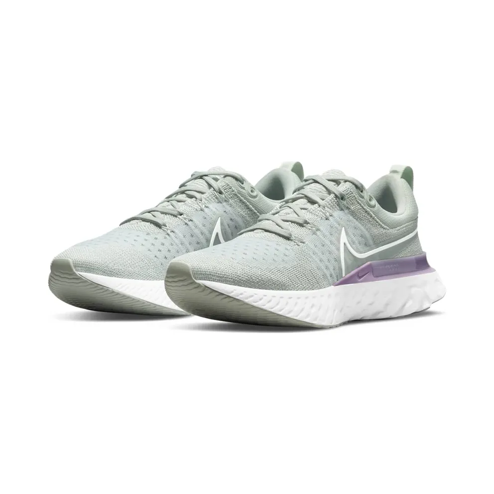 Nike React Infinity Run Flyknit 2 Grey (CT2423-005)