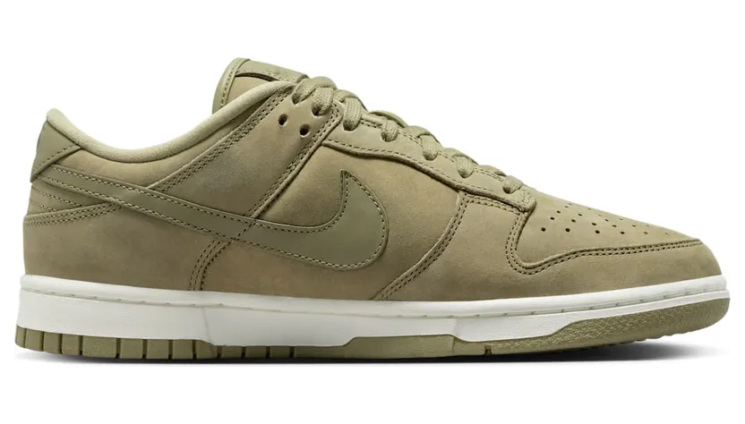 nike-dunk DV7415-200