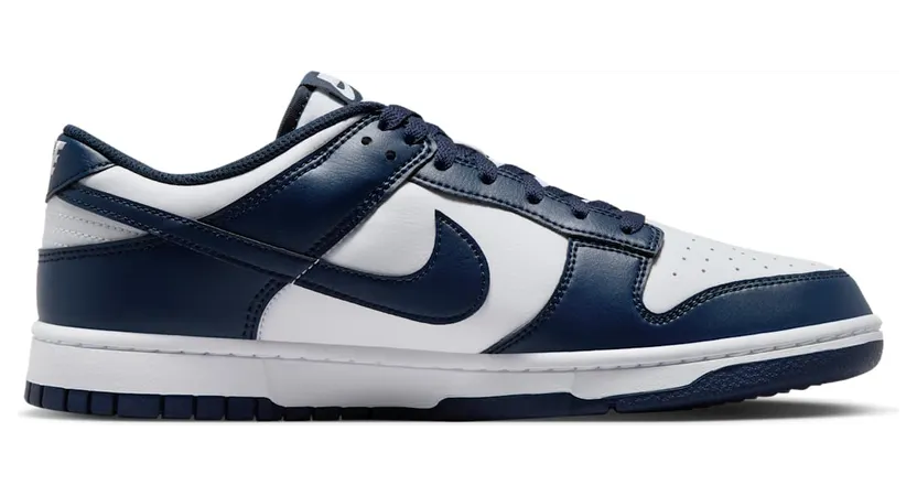nike-dunk HF5441-107