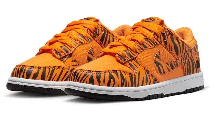 nike-dunk DZ5633-800