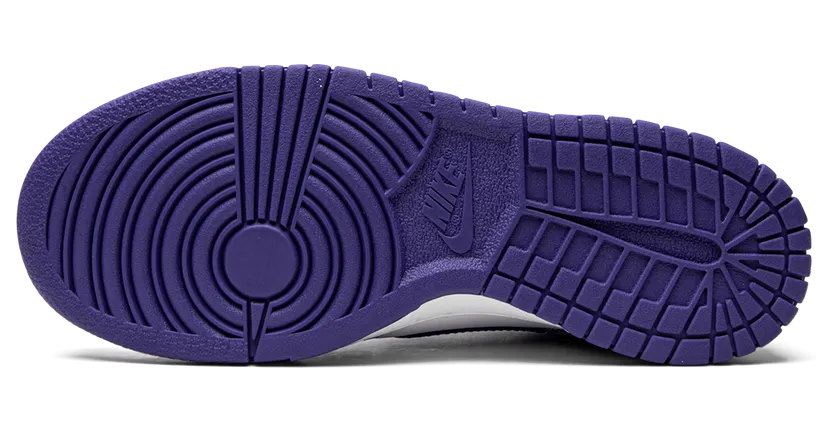 nike-dunk DZ4456-100