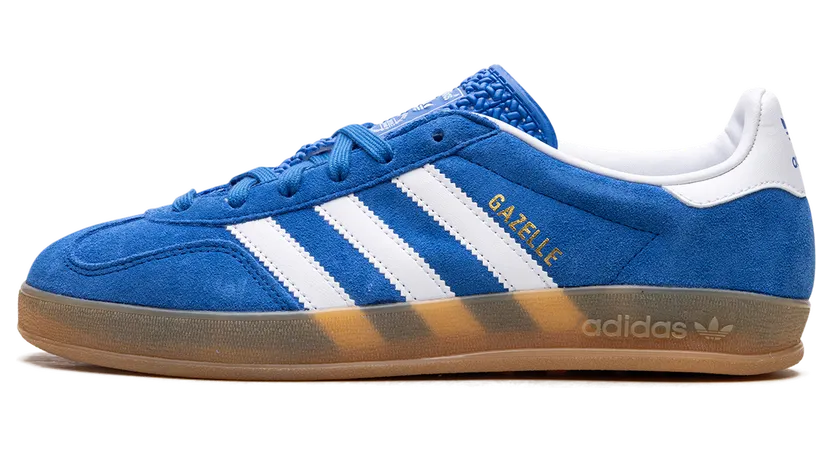 Adidas Gazelle Indoor Blue Bird / Cloud White / Gum (JI2061)