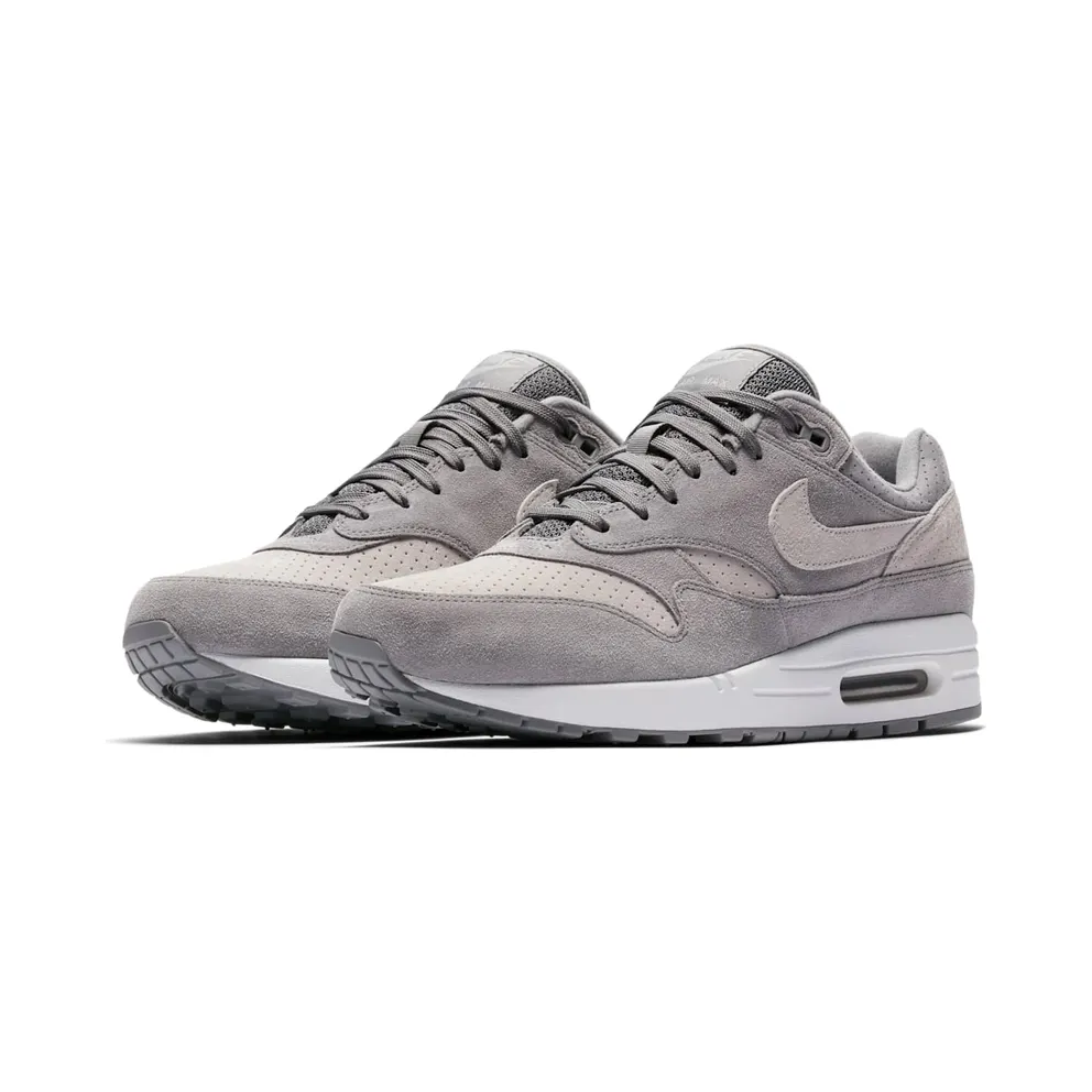 Nike Air Max 1 Cool Grey Wolf Grey (2018) (875844-005)