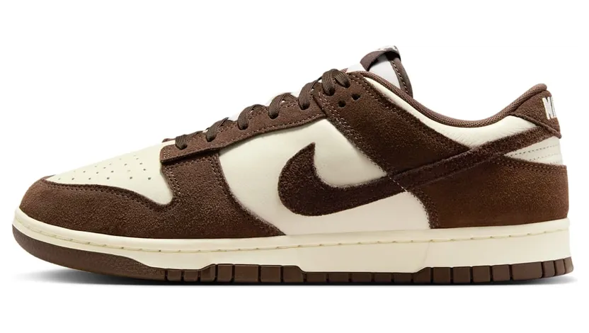 Nike Dunk Low FQ8249-104