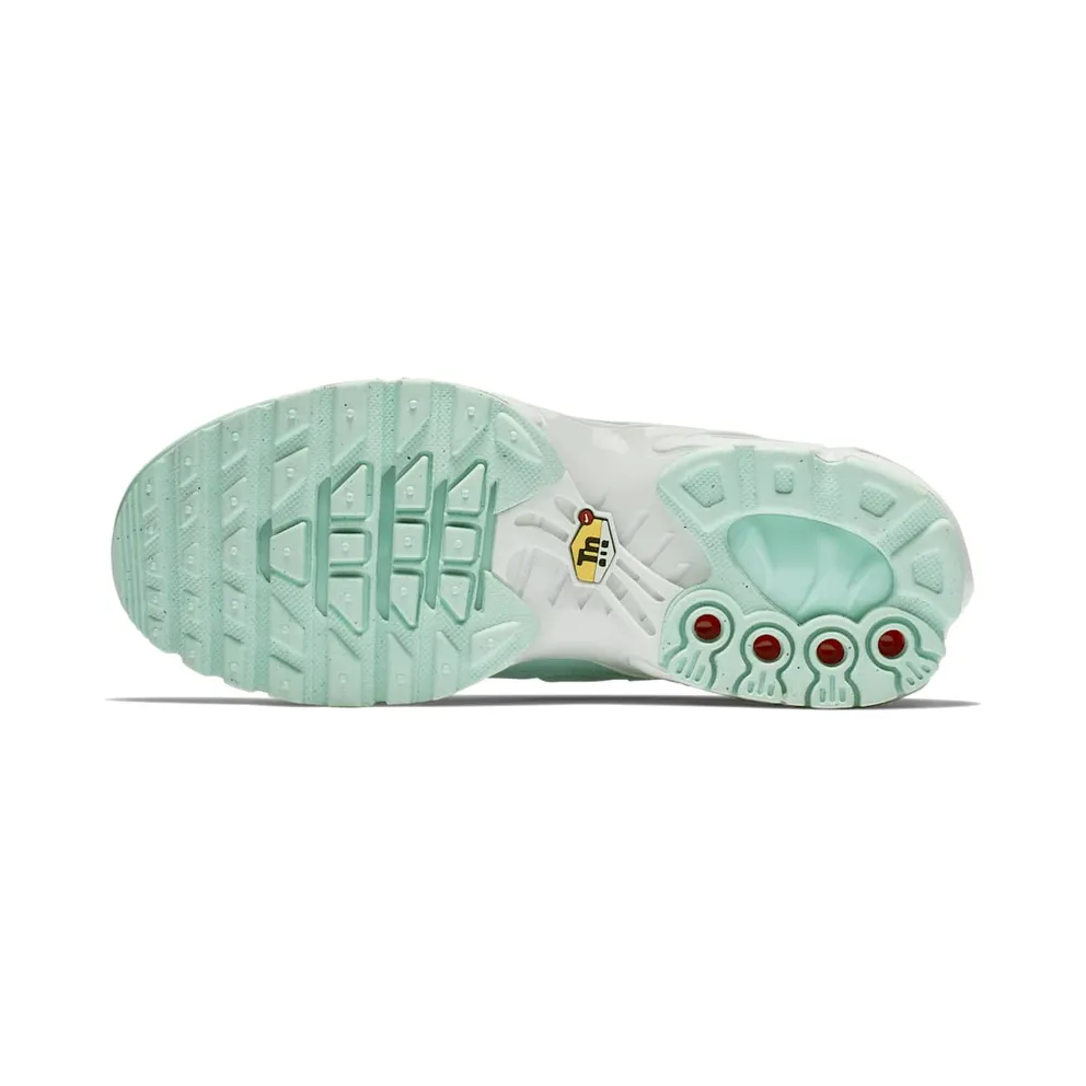 Nike Air Max Plus Igloo (GS) Igloo/White-Igloo (718071-300)