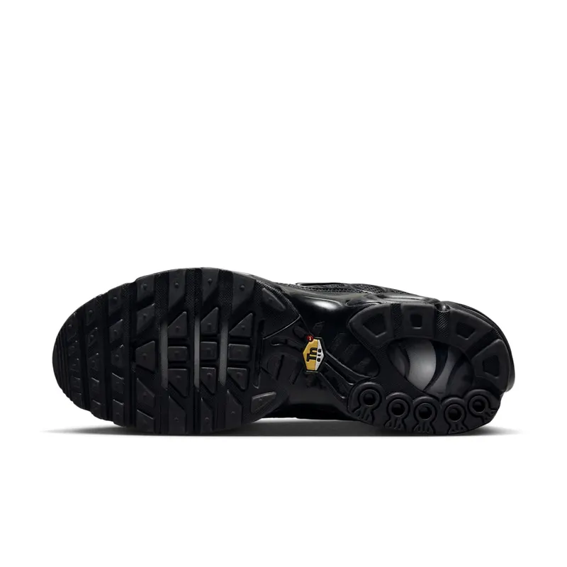 Nike Air Max Plus TN Triple Black (604133-050)