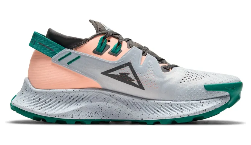 nike-air-pegasus CK4309-004