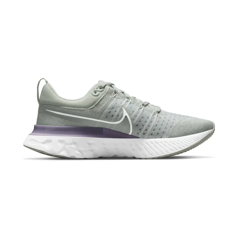 Nike React Infinity Run Flyknit 2 Grey (CT2423-005)