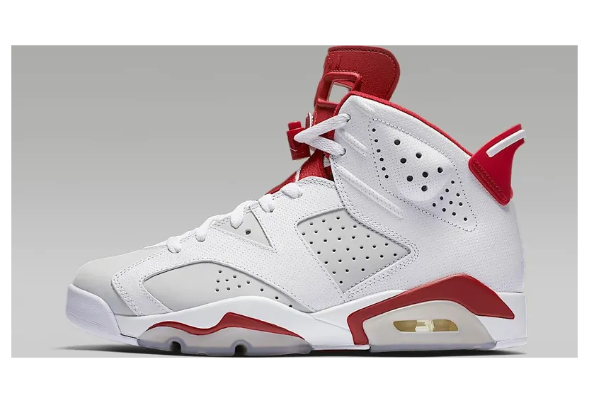 Air Jordan Nike AJ 6 VI Retro Alternate Hare (384664-113)