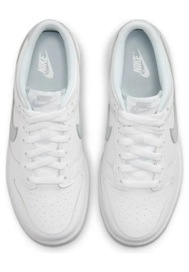 nike-dunk DH9765-102