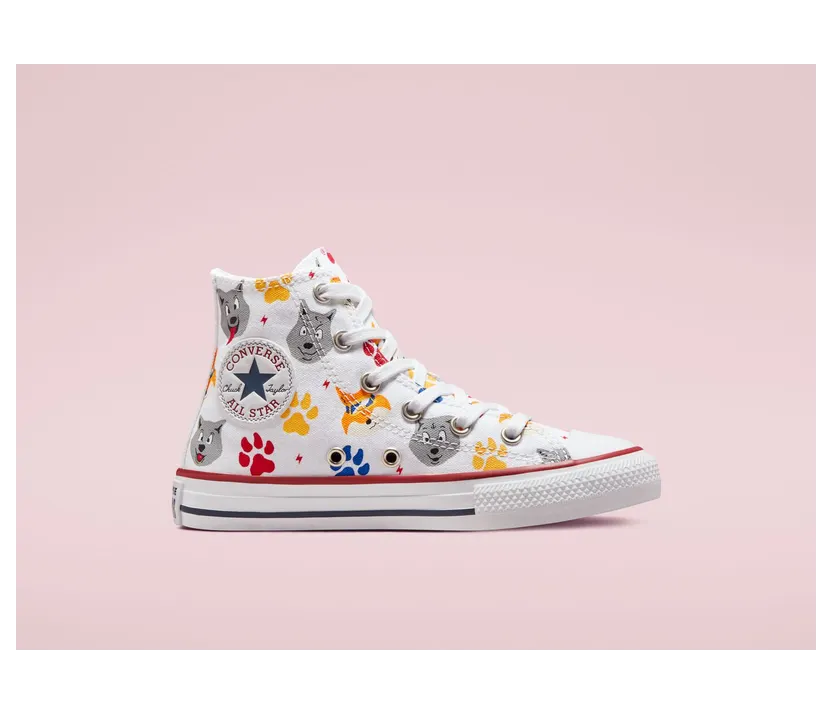 converse-chuck-taylor-all-star 672912C