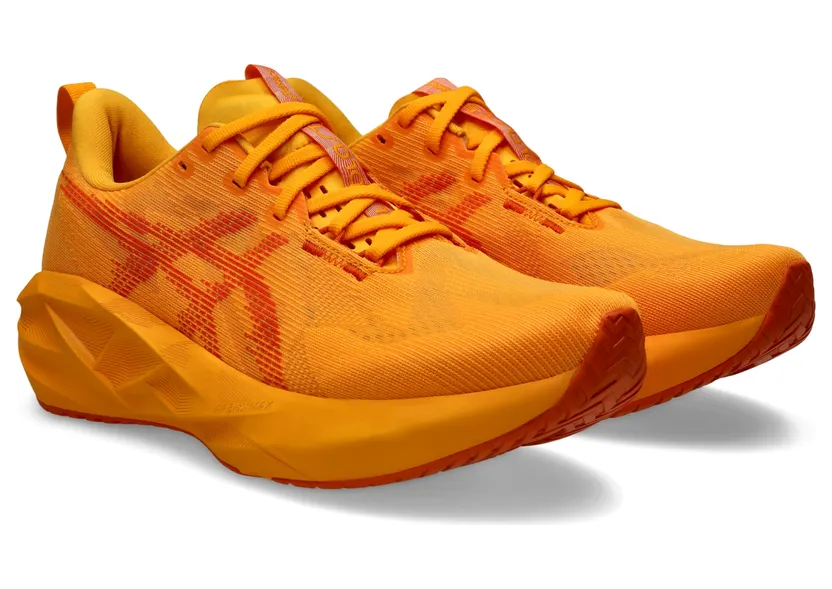 asics-novablast 1011B974-800